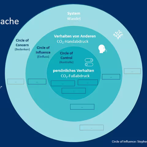 Das Scheibendiagramm zeigt die im Text beschriebene Blanko-Version des Circle of Influence.