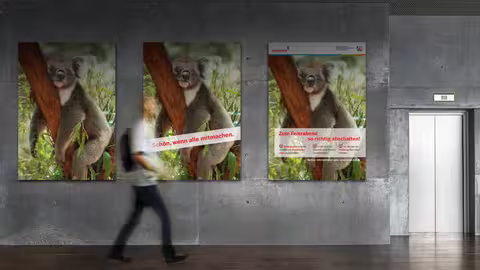 Ein verschwommen abgebildeter Mann geht an einer Wand eines Bürogebäudes vorbei, an der drei Aushänge mit einem Koala hängen.