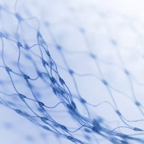 Foto: ein bläuliches Fischernetz vor weißem Grund