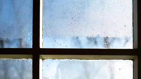 Foto: Blick aus einem Fenster mit Kondenswasser an den Glasscheiben