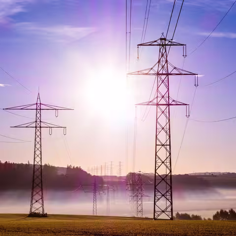 Foto: zwei Strommasten in leicht hügeliger und bewaldeter Landschaft vor der Abendsonne am blauen Himmel