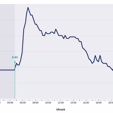 Das Liniendiagramm hebt die im Text beschriebenen Grundlaststunden hervor.