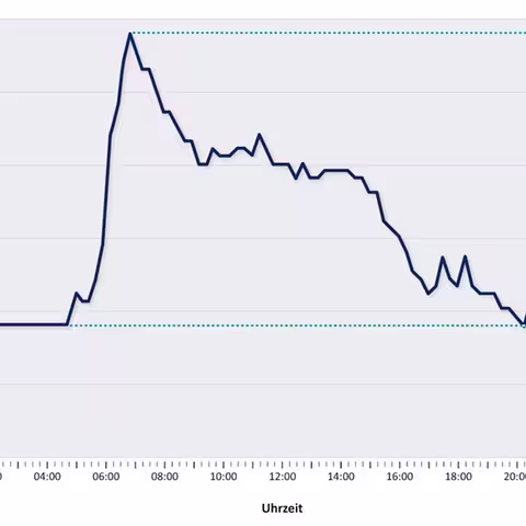 Das Liniendiagramm hebt das im Text beschriebene Verhältnis von Lastspitze zu Grundlast hervor.