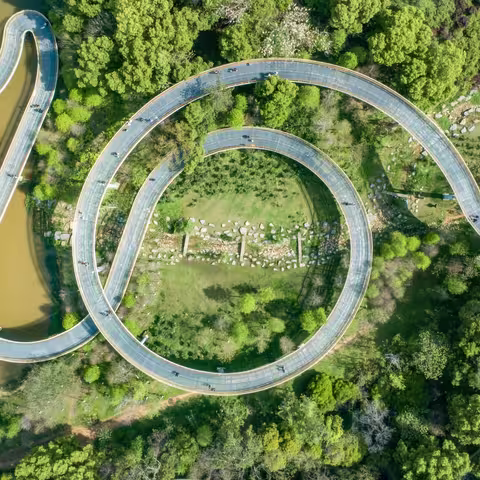 Foto aus der Vogelperspektive: grüner Wald in einem Park mit kreisförmig gewundenem Bergwanderweg