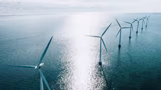Foto: eine Reihe von Windkraftanlagen vor der tiefstehenden Sonne im Meer