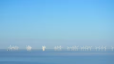 Mehrere weiße Windkraftanlagen stehen in einem ruhigen Offshore-Windpark auf dem Meer. Die Rotoren ragen aus dem Wasser und sind gleichmäßig in Reihen angeordnet. Der Himmel ist klar und blau, und die Wasseroberfläche wirkt glatt und leicht neblig, wodurch die Windräder besonders deutlich hervortreten.