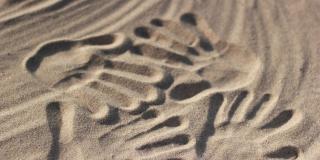 Mehrere Handabdrücke im Sand