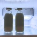 zwei Flaschen Milch im obersten Regal eines Kühlschranks